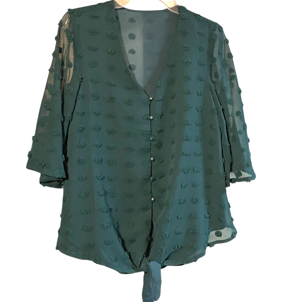 Elegant Green chenille dot whimsy Goth Blouse sheer 3/4 drape sleeve tie waist.